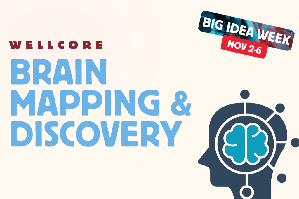WellCore Brain Mapping & Discovery